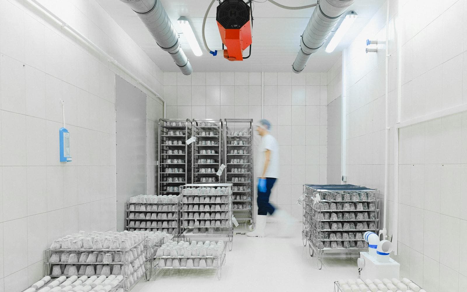 Cold storage handling and quality checks